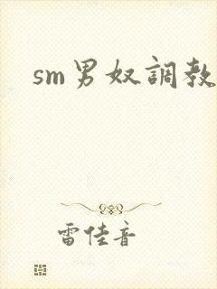 sm男奴调教封面