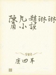 陈凡赵琳琳的主角小说