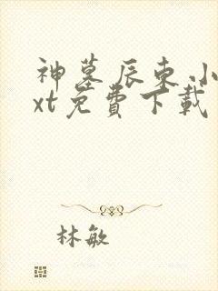 神墓辰东小说txt免费下载封面