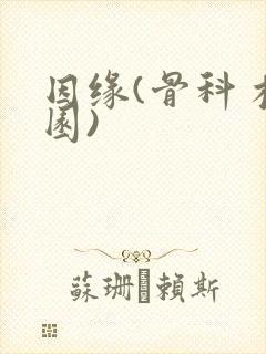因缘(骨科 校园)