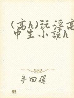 (高h)玩淫高中生小说h