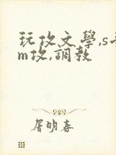 玩攻文学,s受m攻,调教