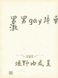 男男gay片刺激