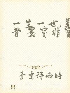 一生一世,美人骨 墨宝非宝封面