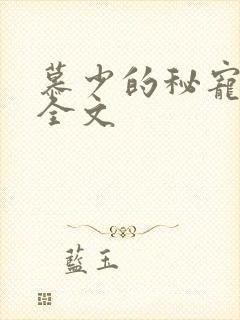慕少的秘宠甜妻全文封面