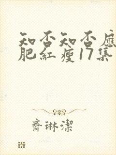 知否知否应是绿肥红瘦17集