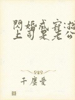 闪婚成宠:总裁上司是老公封面