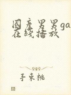 国产男男gay在线播放