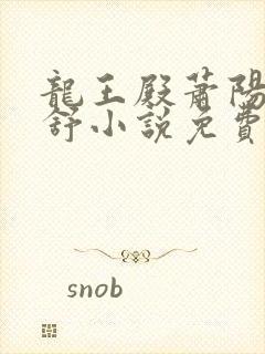 龙王殿萧阳叶云舒小说免费完整版