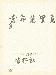 当年万里觅封侯》