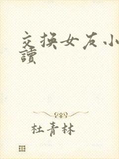 交换女友小说阅读