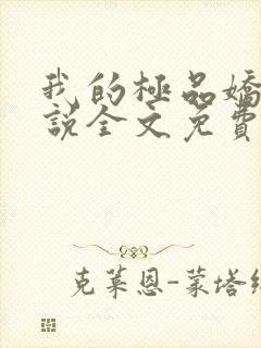 我的极品娇妻小说全文免费阅读