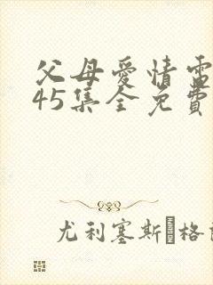 父母爱情电视剧45集全免费封面