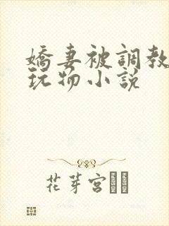 娇妻被调教沦为玩物小说
