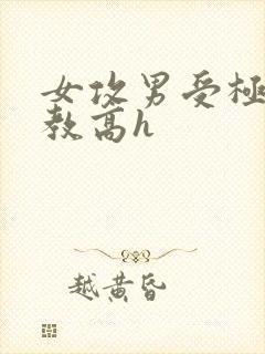 女攻男受极限调教高h