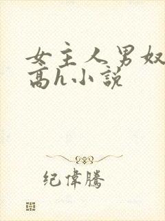 女主人男奴调教高h小说