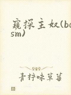窥探主奴(bdsm)