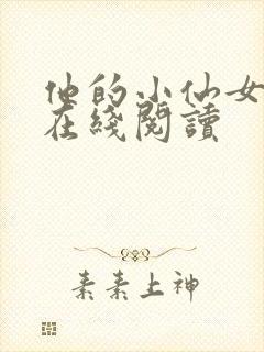 他的小仙女小说在线阅读