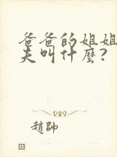 爸爸的姐姐的丈夫叫什么?封面