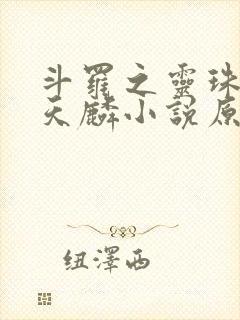 斗罗之灵珠神剑天麟小说原文免费阅读封面