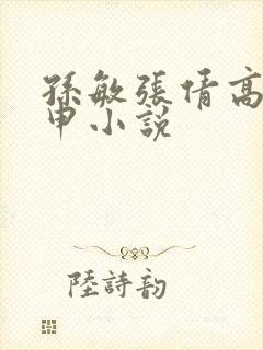 孙敏张倩高义王申小说
