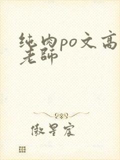 纯肉po文高h老师封面