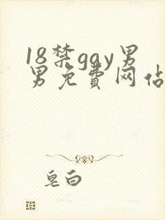 18禁gay男男免费网站