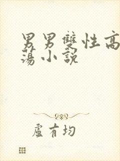 男男双性高h浪荡小说