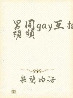 男同gay互插视频