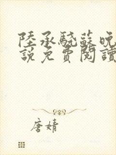 陆承骁苏晚晴小说免费阅读最新章节封面