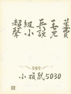 超级兵王叶谦有声小说免费收听