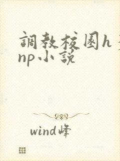 调教校园h多人np小说