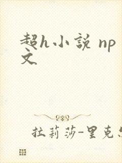 超h小说 np文