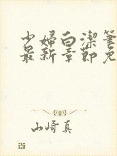 少妇白洁笔趣阁最新章节免费阅读封面