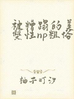 被糟蹋的美人(双性np粗俗)