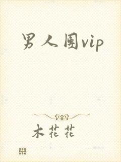 男人团vip