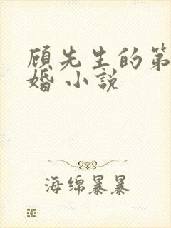 顾先生的第一宠婚 小说封面