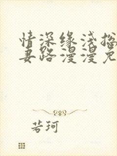 情深缘浅总裁追妻路漫漫免费阅读