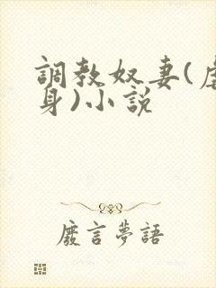 调教奴妻(虐女身)小说