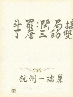 斗罗:开局搞没了唐三的双生武魂小说封面
