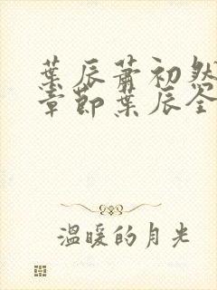 叶辰萧初然最新章节叶辰全文免费