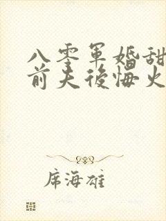 八零军婚甜蜜蜜前夫后悔火葬场