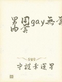 男同gay无套内套
