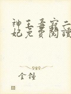 神王毒宠二嫁王妃免费阅读全文