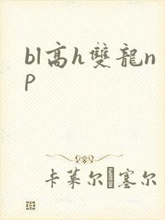 bl高h双龙np