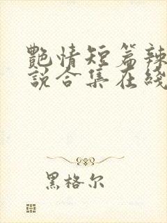艳情短篇辣文小说合集在线阅读