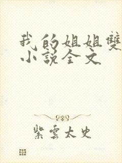我的姐姐双女主小说全文封面