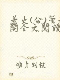 惹火(公)笔趣阁全文阅读