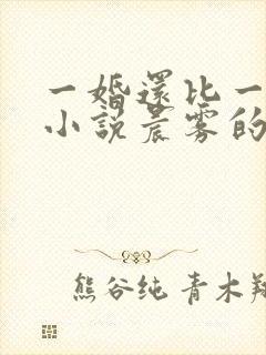 一婚还比一婚高小说晨雾的光