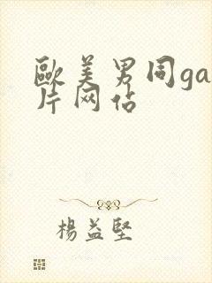 欧美男同gay片网站